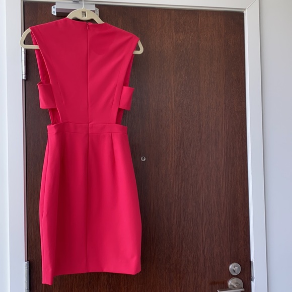 Nicole Miller Pink Dress - Picture 4 of 12